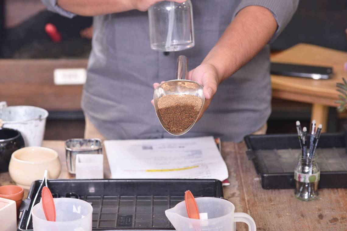 多肉植物觀察方法 多肉植物觀察方法